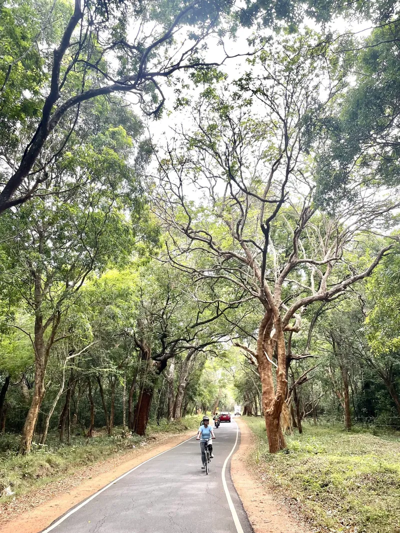 Cycling Ceylon: A Beginner’s Journey, photograph 8