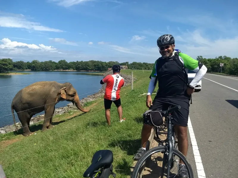 Joe Thomas poses with a majestic elephant as we ride alongside Sri Lanka's Udawalawe Sanctuary. This was our first international bike tour