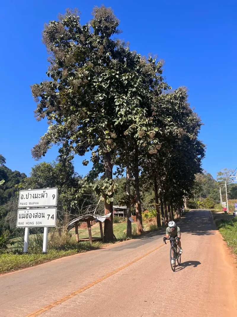 There aren't any flat sections in the MHS loop; you're either climbing or descending!