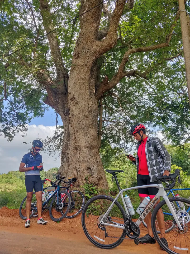 Sri Lanka, Barnowl Adventures