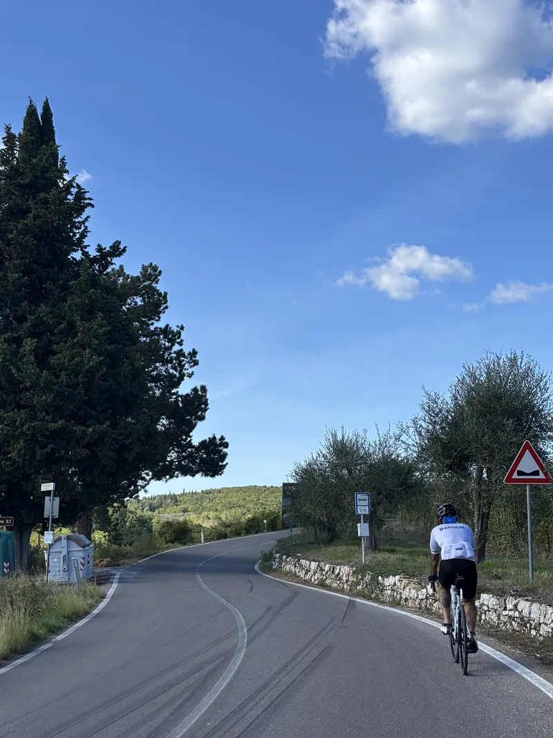 A rider on a quiet road under a clear sky, trees on either side