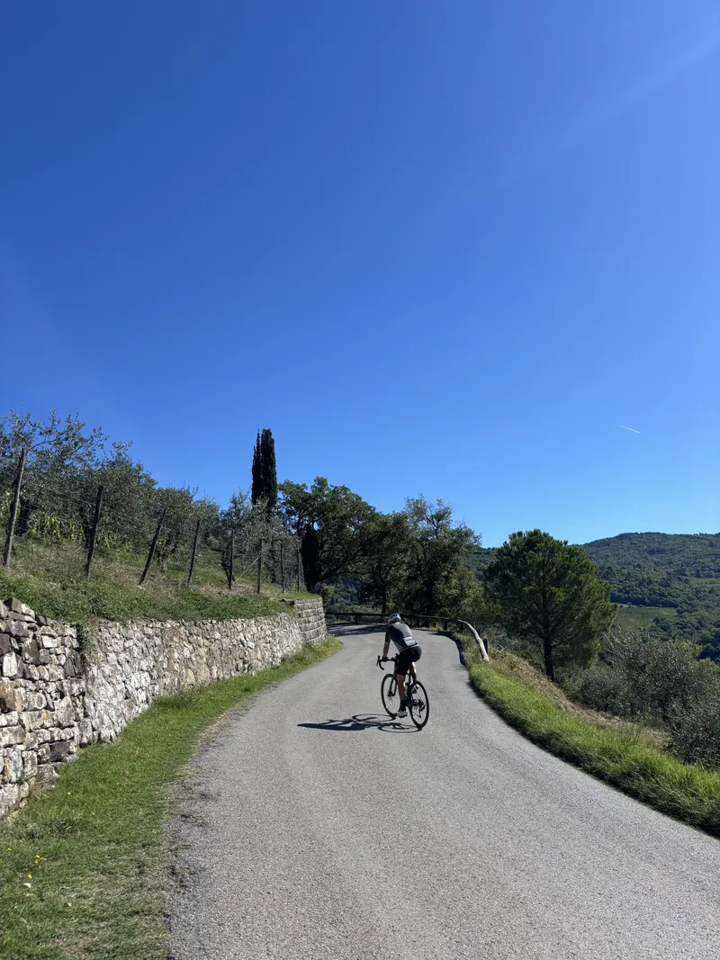 A rider on a narrow road between a dry-stone wall and olive trees, a cypress beyond