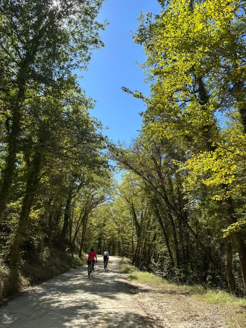 Day 2: the white gravel roads of Chianti
