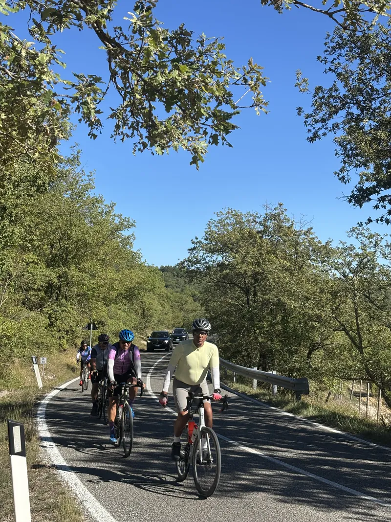 A line of riders climbing a winding road through trees