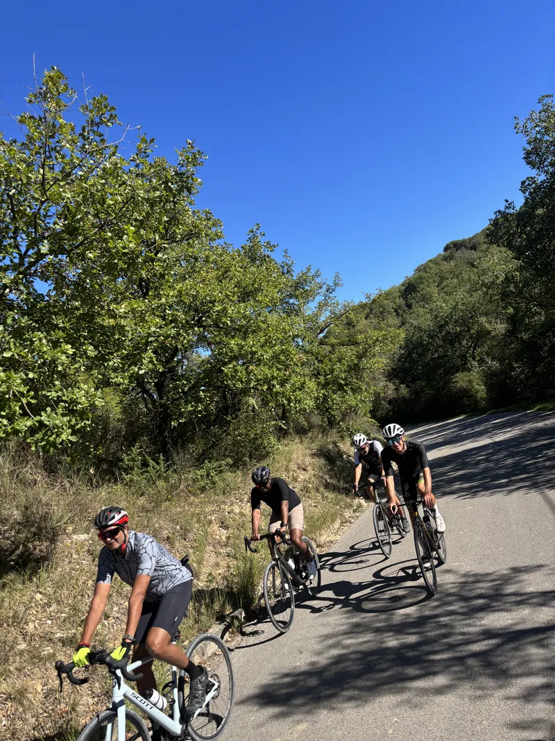 Riders climbing a steep road through scrub and trees