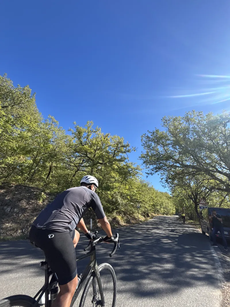 A rider climbing a road between oak trees