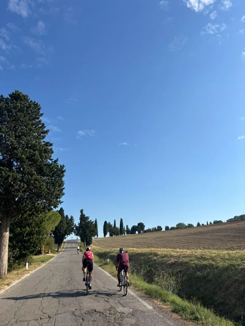 Two riders on a straight road lined with cypress trees, fields on either side