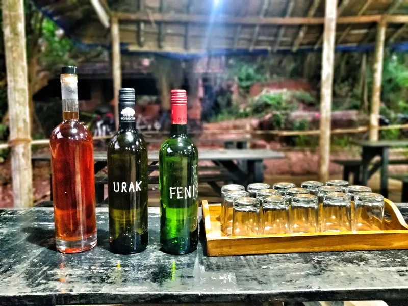 Tasting some cashew feni straight from a family-run farm near Molem!