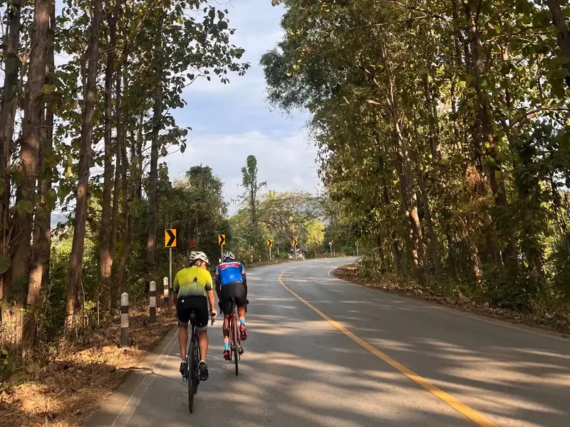 Through the beautiful teak forests of Mae Sariang
