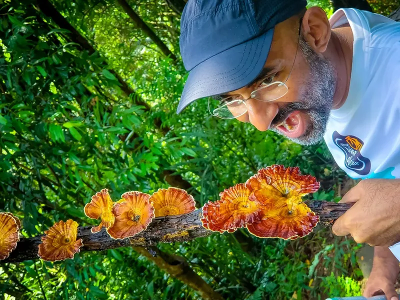 Sunil posing with wild mushrooms he found along our trek path to the root bridge