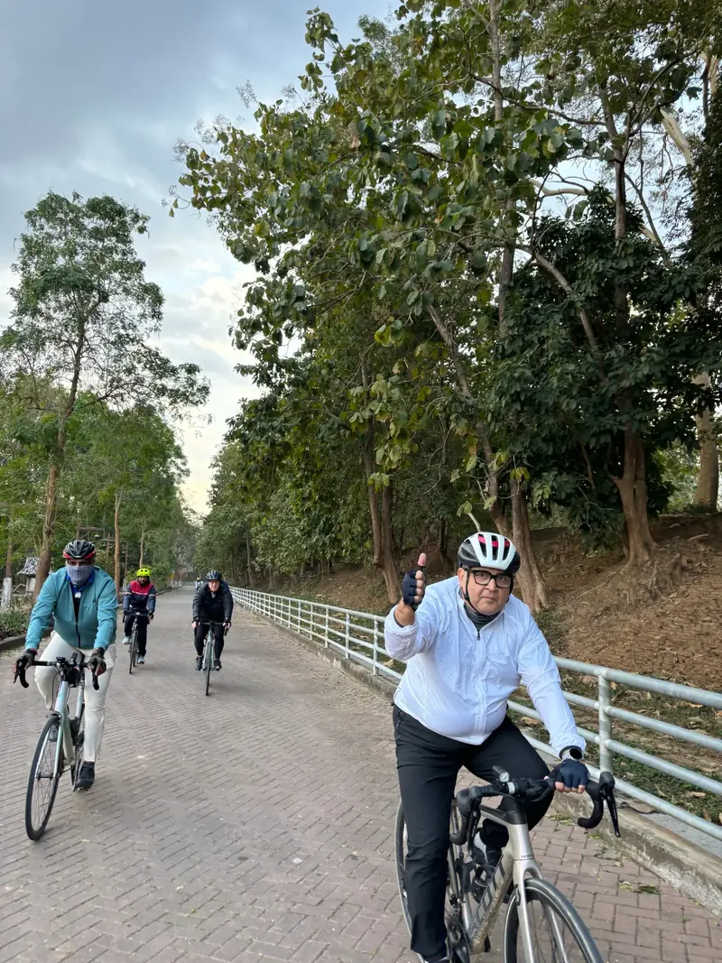 Riders on a quiet lane shaded by tall trees