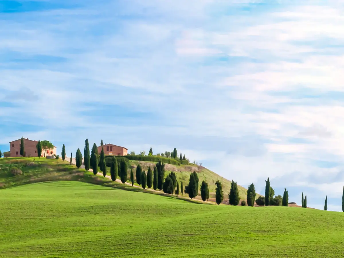 Vineyards in Chianti