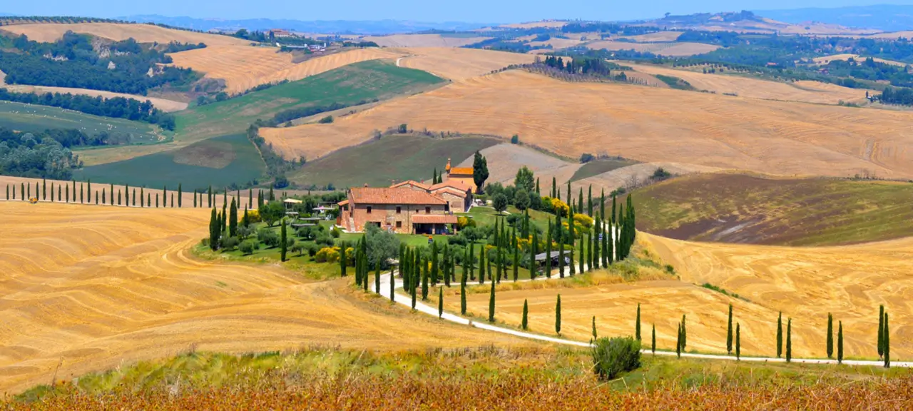 Cypress-lined road in the Val d'Orcia