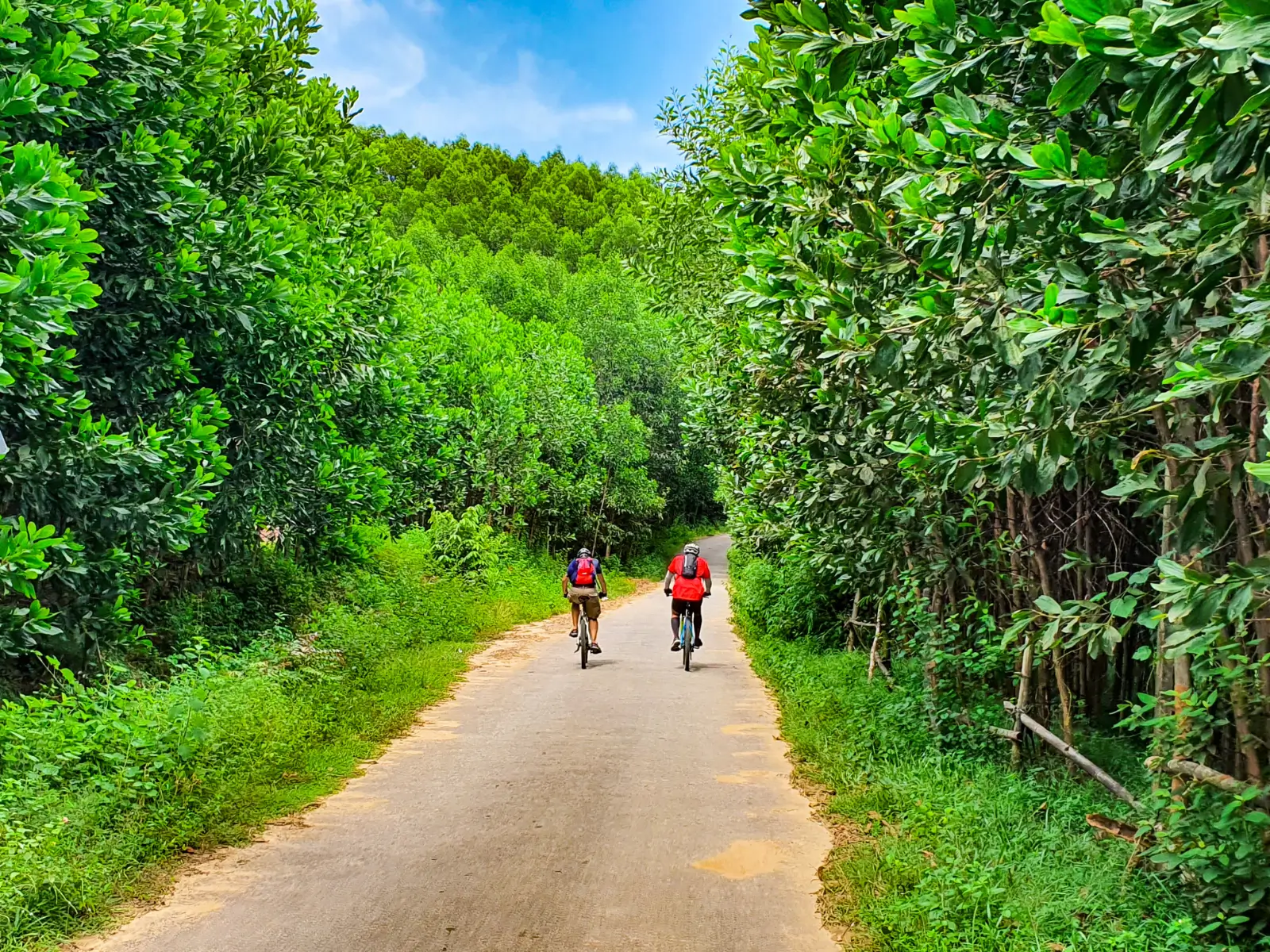 Two riders on a narrow concrete road climbing between dense green trees in central Vietnam