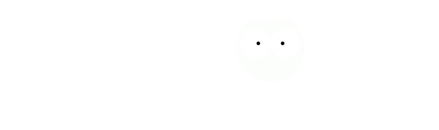 Barnowl Logo | Barnowl Adventures Cycling Tours